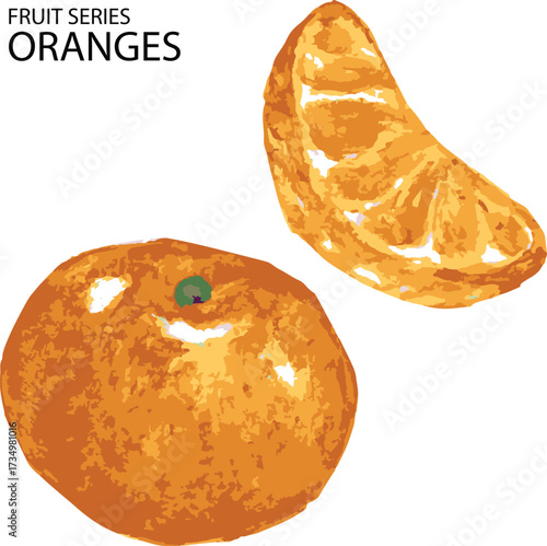 vector illustration of orange juice splash