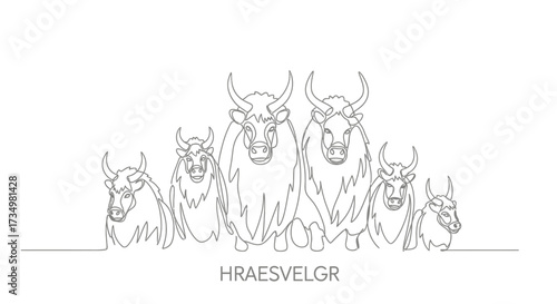 Line Art Drawing of Herd of Yaks, HRAESVELGR Text Below