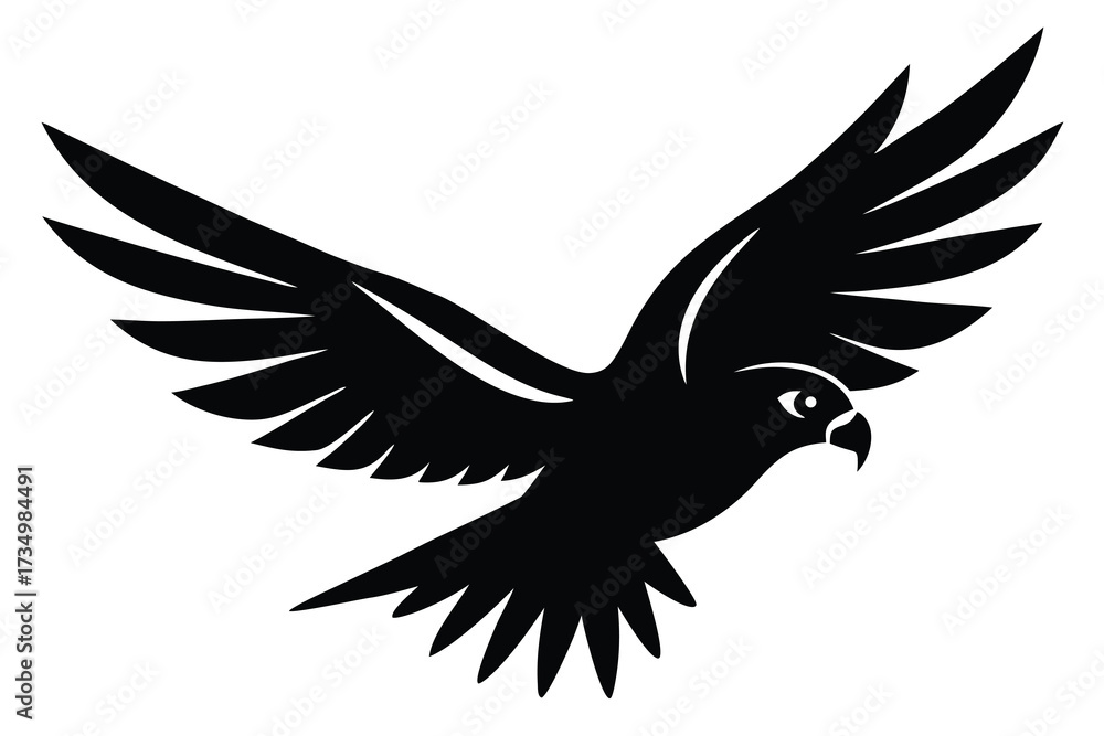 Obraz premium flying hawk silhouette vector illustration on black colour and white background