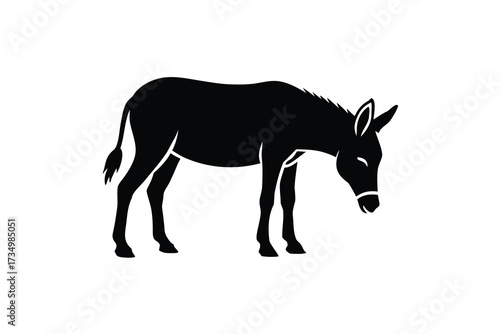 grazing donkey silhouette vector illustration on black colour and white background