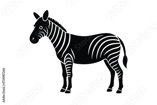 Canvas Print standing zebra silhouette vector illustration on black colour and white backgrou
