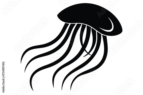 swimming jellyfish silhouette vector illustration on black colour and white background
