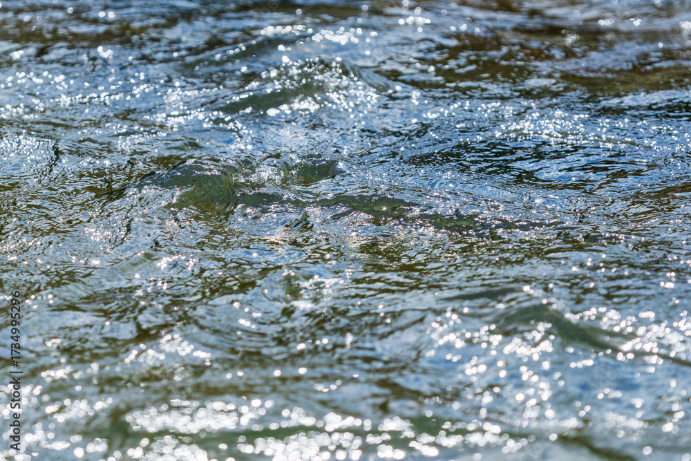 Obraz premium 秋の川 清流の流れのアップ80