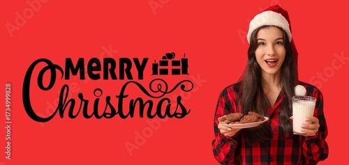 Christmas banner with beaut...