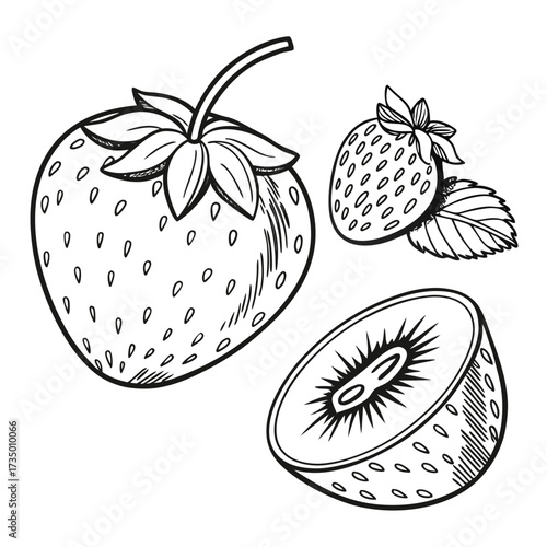 Fresh strawberries and kiwi fruit, line art style