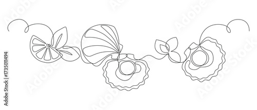 Scallops in shell with slice of lemon and mint leaves, drawn with continuous line in minimalism, abstract, seafood, delicacy, one line, editable vector contour