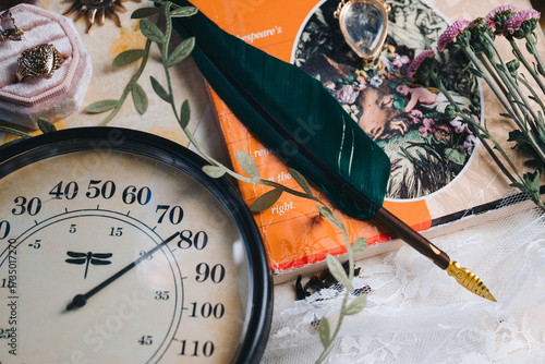 old thermometer and feather pen