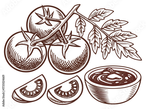 Vintage Hand Drawn Tomato Collection with Whole, Slice, Branch and Ketchup Bowl Illustration Isolated. tomato illustration, hand drawn tomato, sketch vegetable, tomato slice, cherry tomato.