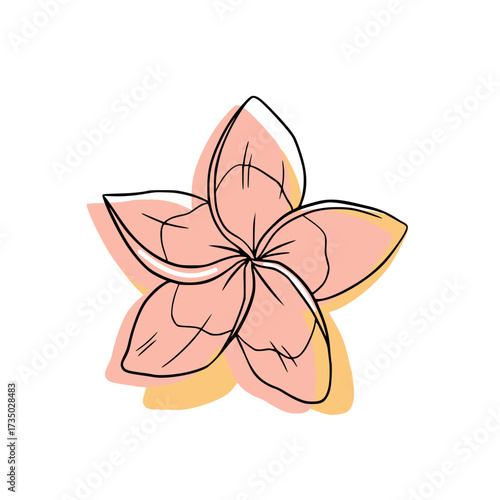 Elegant hand-drawn plumeria isolated, perfect for Pacific Island and wellness aesthetics. Minimalist frangipani bloom vector illustration for Southeast Asian spa branding.