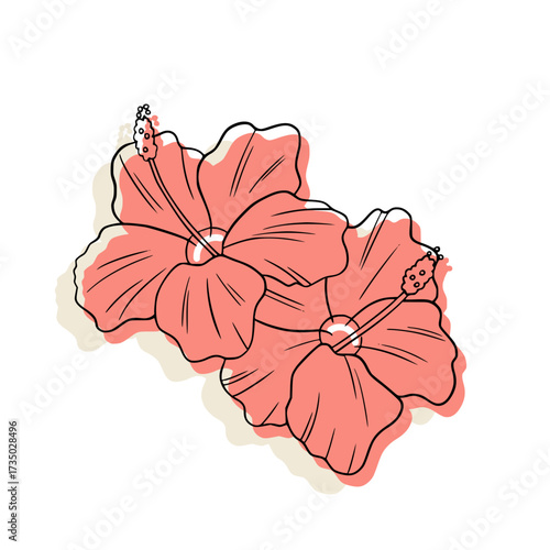 Elegant hand-drawn tropical hibiscus flowers isolated on a white background.
