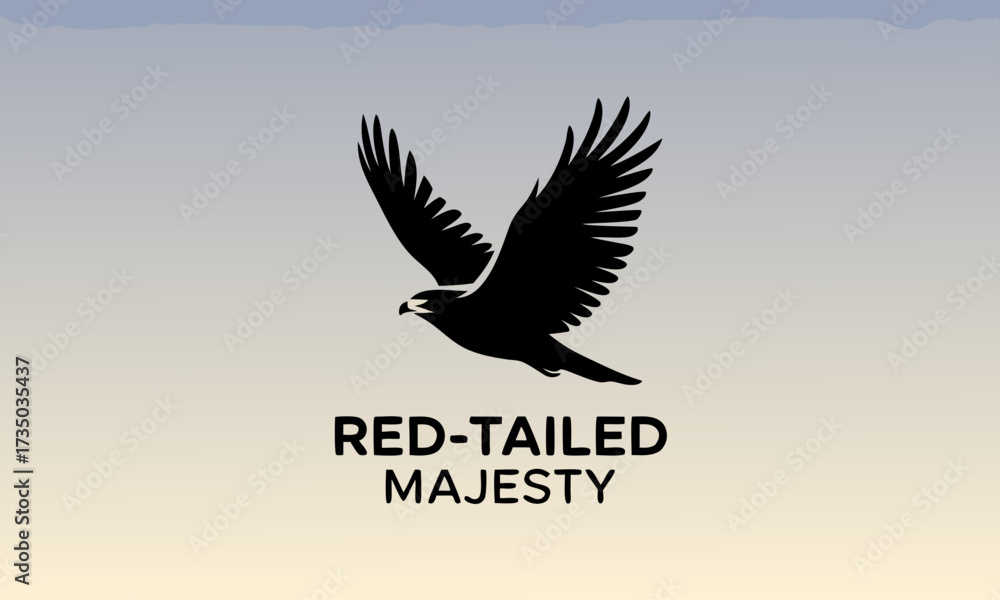 Fototapeta premium Silhouette of a Majestic RedTailed Hawk in Flight.