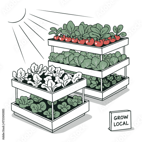 Illustration of tiered garden beds with various vegetables growing under the sun, promoting local agriculture.