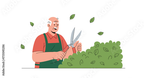An elderly man happily trims a dense green hedge with large scissors.
