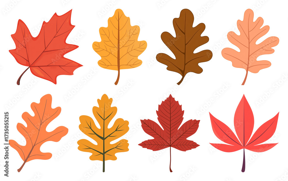 Obraz premium PNG Colorful autumn leaves illustration, element set on transparent background