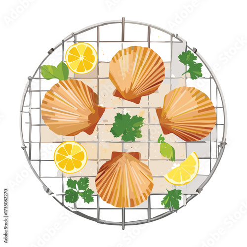 Fresh scallops on the shell arranged on a round wire grilling rack with lemon slices and parsley garnish, ready for cooking - Vector Illustration