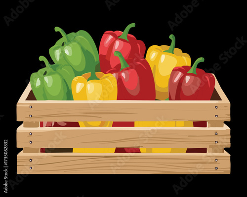 Rustic wooden crate overflowing with a bountiful harvest of fresh red, yellow, and green bell peppers from the garden - Vector Illustration