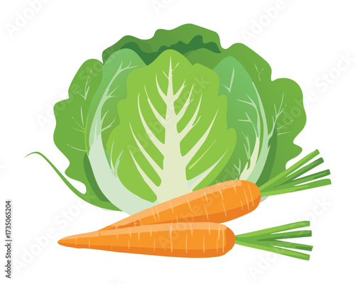 Simple and fresh cabbage head next to a long orange carrot, classic vegetables for a healthy diet or soup - Vector Illustration	