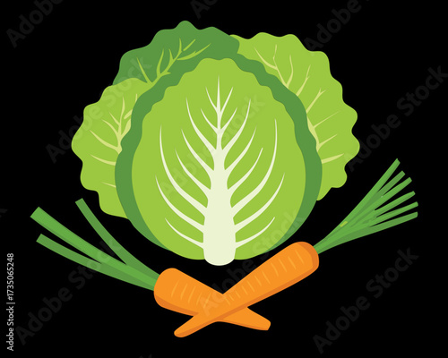 Green cabbage head and carrots arranged on a dark background, highlighting essential vegetables for healthy eating and cooking - Vector Illustration	