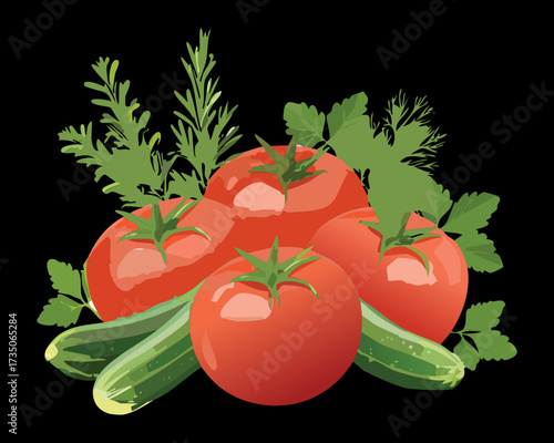 ripe red tomatoes clustered with dark green rosemary sprigs, a classic combination for italian cooking - Vector Illustration	
