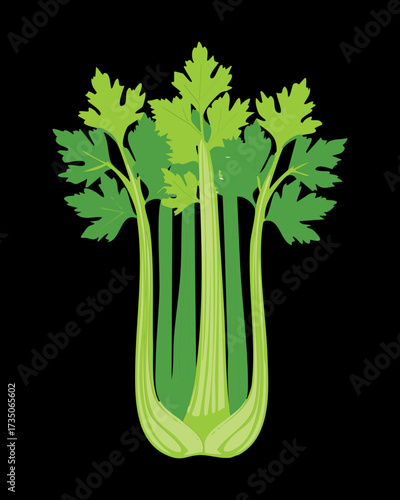  Tall and Striking Green Celery Stalks with Detailed Leaves Against a Bold Black Background, Great for Ads - Vector Illustration