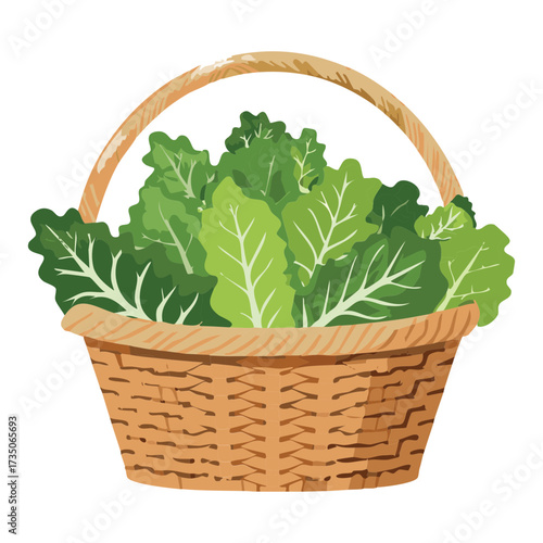 Abundance of Organic Dark Green Leafy Vegetables in a Rustic Basket for a Nutritious and Balanced Diet - Vector Illustration

