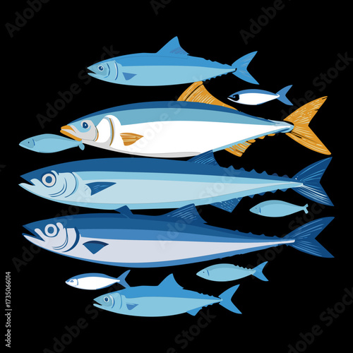A neat stack of multiple whole silver and blue fish, like mackerel or sardines, ready for sale or cooking on a black background - Vector Illustration.	