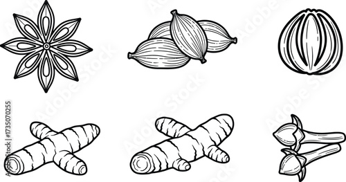 Vector art of hand drawn spices including star anise and cardamom