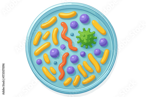 3D render top view petri dish with colorful microorganisms. Bacteria culture, bacillus, cocci, virus, germs. Microbiology, bacteriology laboratory research, science concept.