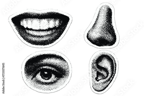 Vector collage kit with face parts. Eye, mouth, nose, ear isolated set. Retro halftone dotted effect. Y2K inspired punk grunge cutout sticker style for vintage design.