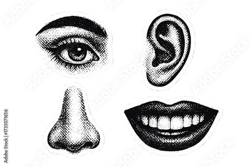 Vector set of human face parts for collage. Design elements in retro y2k style. Eye, ear, nose, and mouth with vintage punk grunge halftone dotted texture. Anatomy cutouts.