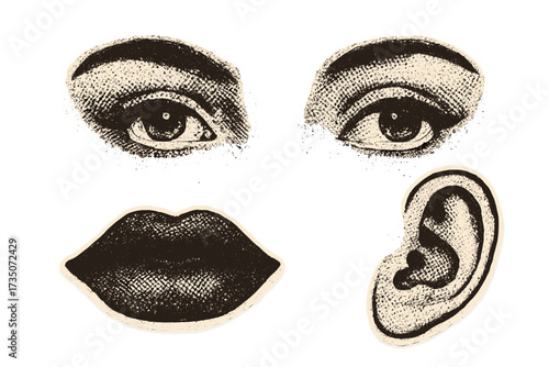 Senses concept with eye, lips, ear in halftone style. Pop art collage design elements. Retro vector illustration with vintage grunge punk cutout shapes for zine and posters.