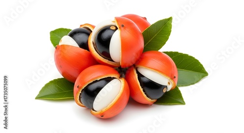 Isolated guarana fruit with leaves on white background healthy food ingredient