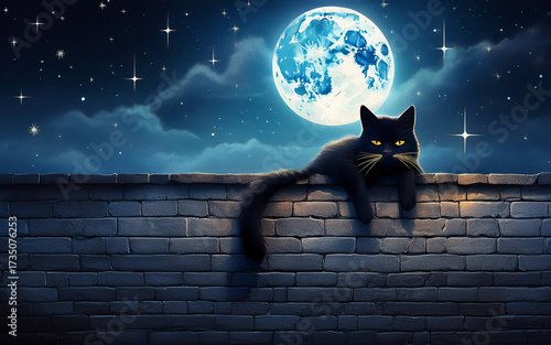 cat on the moon