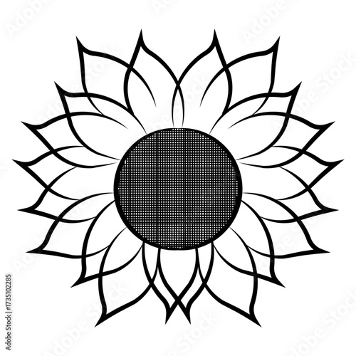 black and white sunflower