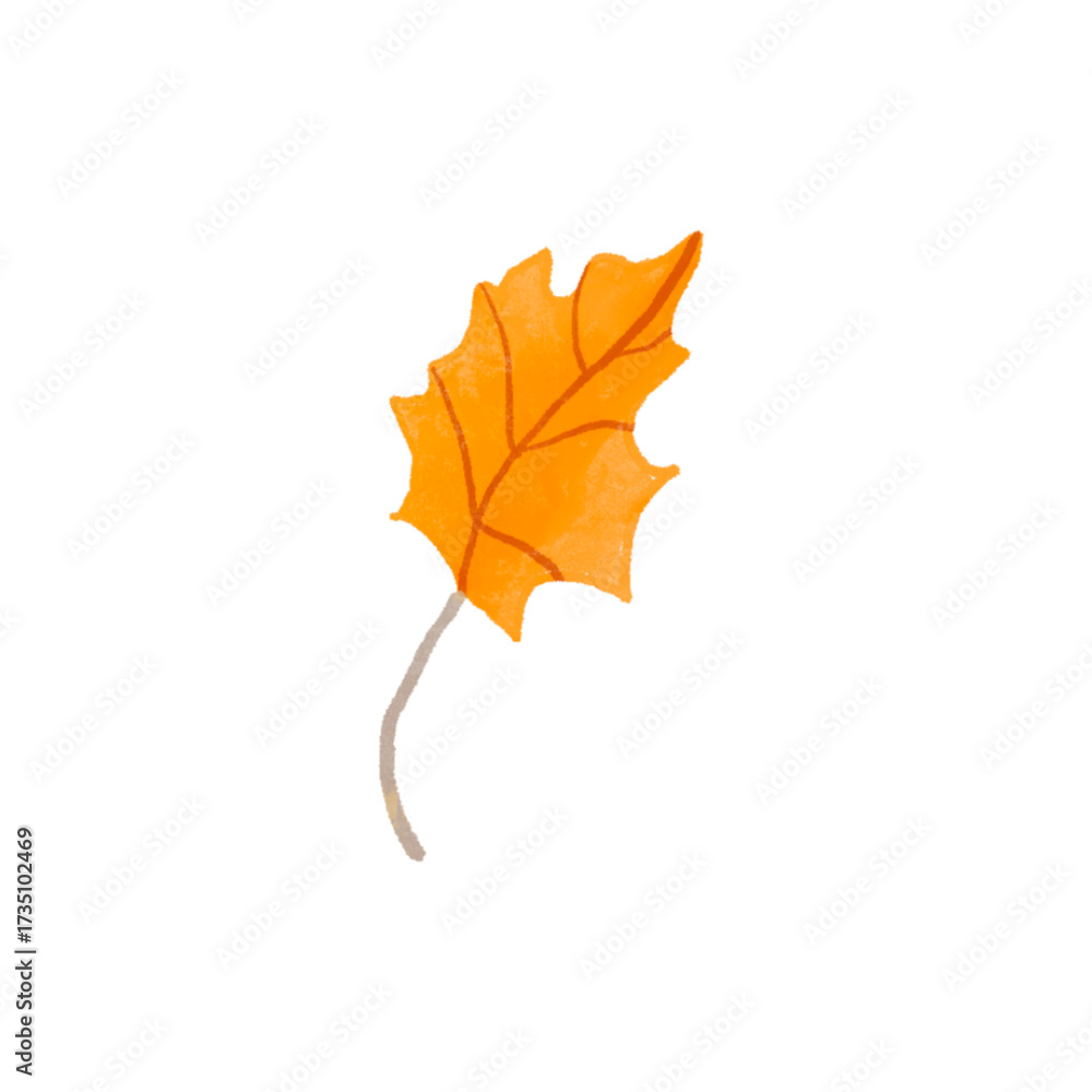 Fototapeta premium autumn maple leaf illustrasi