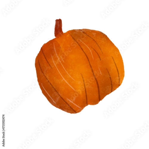 Illustrasi pumpkin 