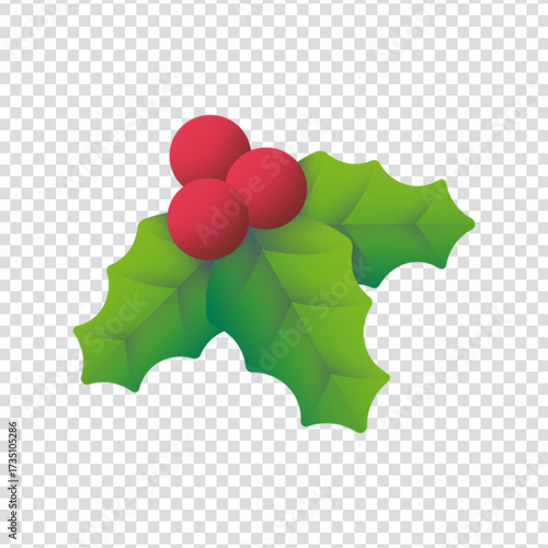 Mistletoe Festive Symbol