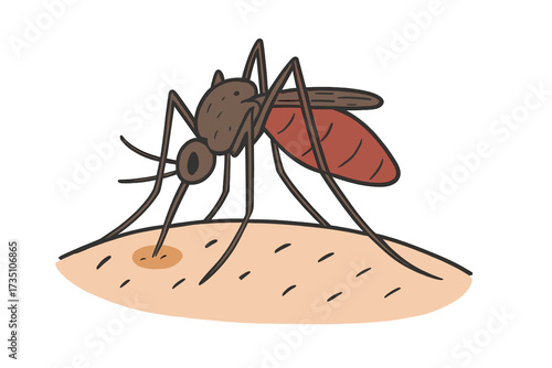 Mosquito sucking blood from human skin. Insect bite and disease transmission concept vector. Flat cartoon illustration of a parasite pest. Health risk from malaria, dengue, zika.