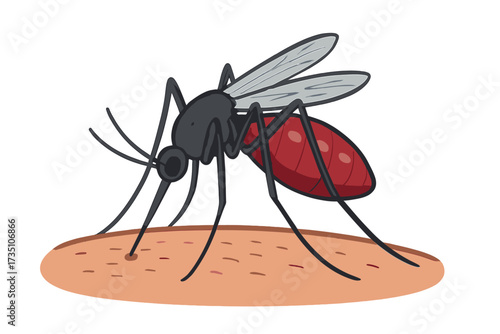 Mosquito sucking blood from human skin. Insect parasite biting and feeding. Concept of disease transmission, malaria, dengue, zika virus. Pest control vector cartoon illustration.