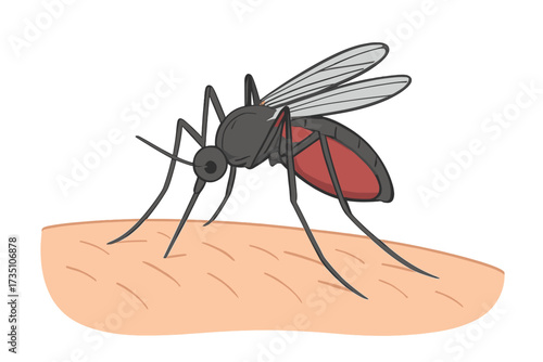 Mosquito sucking blood from human skin. Insect parasite biting arm. Flat vector cartoon concept for disease transmission, malaria, dengue, zika, pest control. Isolated illustration.
