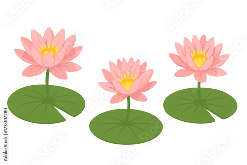 Pink lotus water lily flower and green leaf pad vector set. Isolated floral aquatic plant collection. Botanical illustration for spa, yoga, meditation, nature, zen design element.