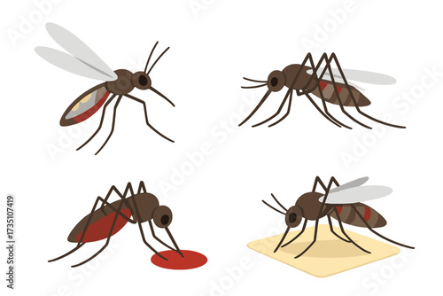 Mosquito insect pest set for repellent, spray, patches ads. Flying, blood-sucking cartoon mosquito collection. Flat vector illustration. Malaria, zika, dengue disease.