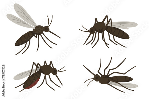 Mosquito insect pest set for repellent ads. Flying, blood-sucking mosquitoes collection. Flat vector illustration for poster, spray, and patches. Dengue, zika, malaria virus carrier.