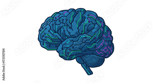 Anatomical brain illustration showing neural pathways in blue green and purple on a white background