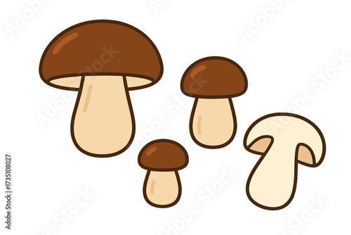 Porcini mushroom vector illustration. Edible boletus edulis fungus set. King bolete collection, big, small, whole and cut. Isolated for gourmet food, cooking, botanical design.
