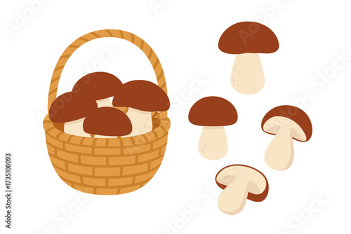 Wicker basket with porcini mushrooms, isolated. Set of cut edible wild forest mushrooms, boletus. Autumn harvest, mushroom foraging concept. Vector flat cartoon illustration.