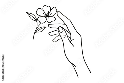 Elegant woman's hand holding a flower. Minimal line art vector illustration. Concept for beauty, cosmetics, spa, manicure, skincare, nature, wellness, and feminine brand logo.