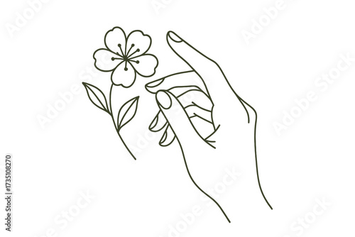 Hand drawn woman's hand holding flower. Minimal linear style illustration. Trendy abstract sketch for packaging, cosmetics, beauty studio, tattoo, spa, manicure. Vector logo.