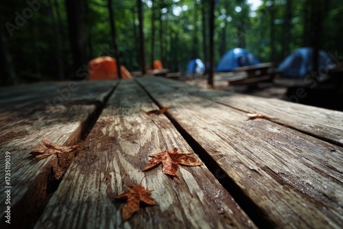 Wooden Picnic Table In Forest Camping Area