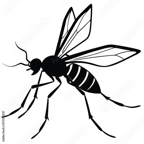 vector illustration of a mosquito